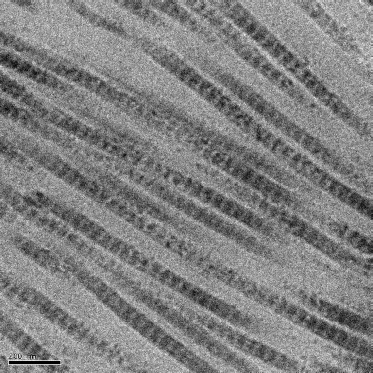 What is it: Collagen