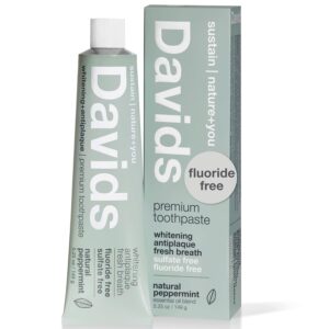 Davids Natural Toothpaste, Whitening, Antiplaque, Fluoride-Free, SLS-Free, Xylitol, Peppermint Oil, 5.25 oz